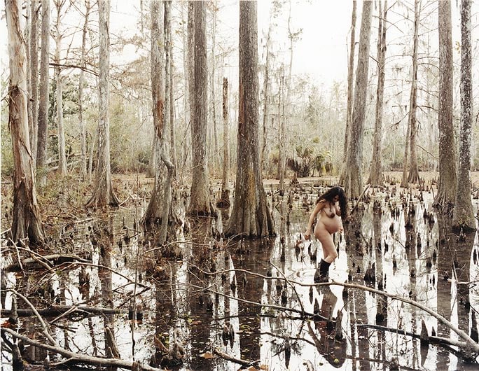JUSTINE KURLAND Wild Palms