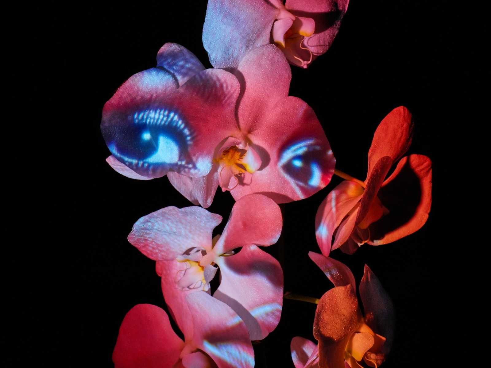 8 Must-See Solo Gallery Shows in June