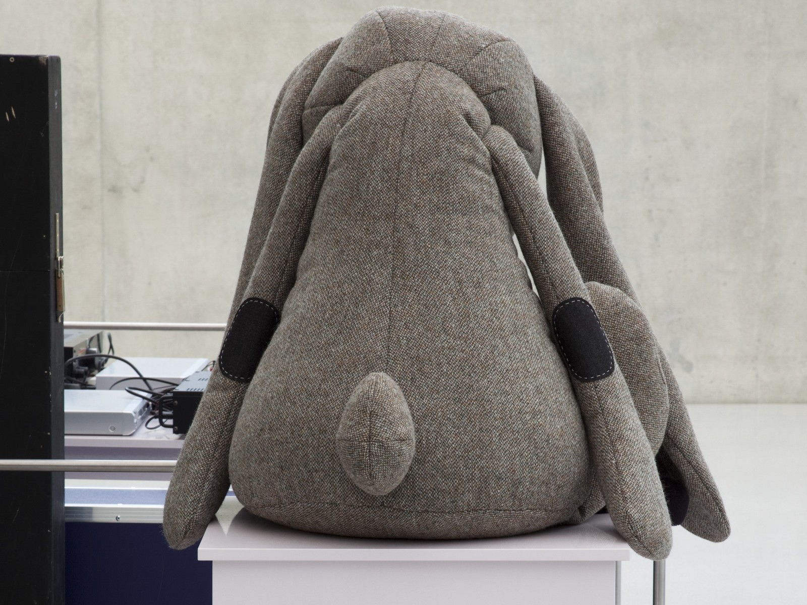 Cosima von Bonin