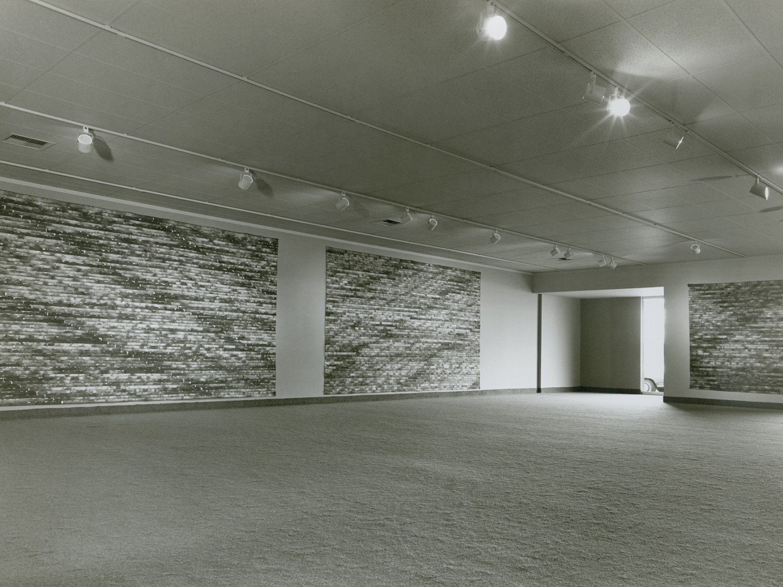 &quot;Allan McCollum's Unstretched Canvases&quot; by Meredith Malone