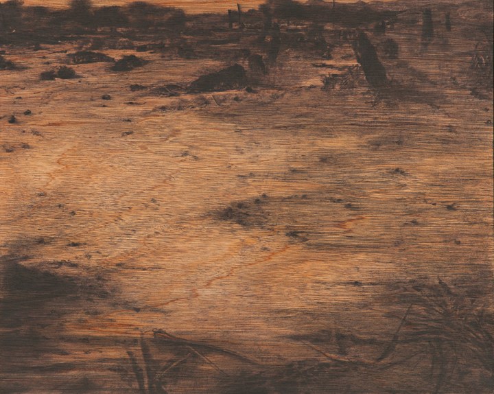 Saad Qureshi Honourable Wounds 2014 Charcoal, pastel, Indian ink on gaboon plywood 20 x 25 in.