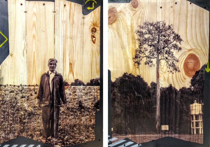 Pair of images, one of a man, the other a tree, digitally printed on reclaimed wood.