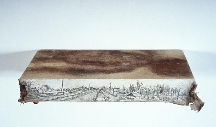 Saad Qureshi ANOTHER ROAD IN THE ROAD 2008 Pencil and rust on canvas 2 x 12 x 6 in.