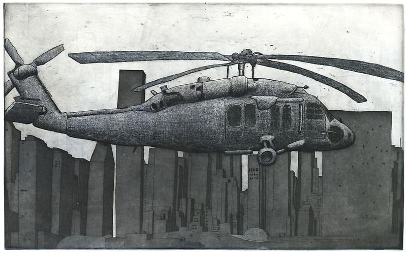 Damon Kowarsky BLACKHAWK, HUDSON 2011 25 X 40 cm.