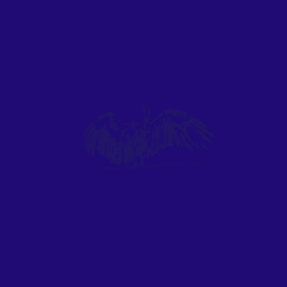 Abdullah M. I. Syed Structures of Culture Vultures: Blue 2017 Clear spot printing on archival paper in 25 parts 65 x 65 in