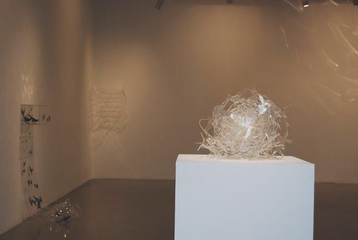 Installation Shot 3