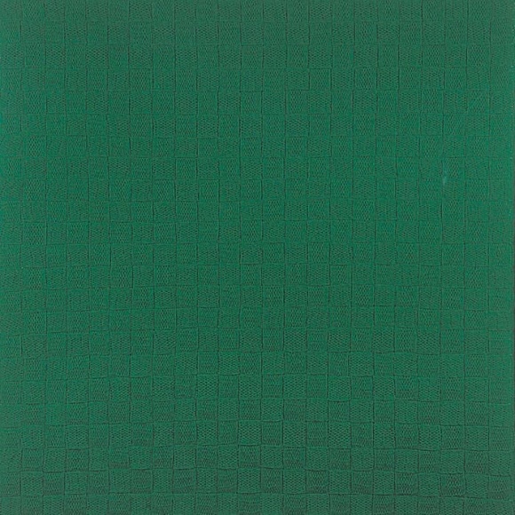 Shobha Broota AERIAL FOLIAGE 2005 Wool on canvas 30 x 30 in.