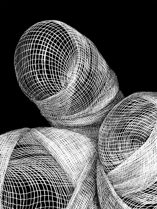 Adeel uz Zafar UNTITLED (DRAWING APPENDAGES SERIES) (Ed. of 16) 2013 Etching on Velin Arches 300gsm paper 22 x 30 in.