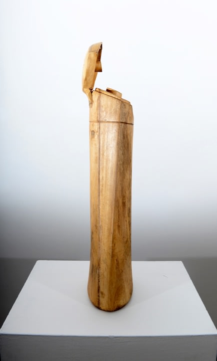 Debanjan Roy, Untitled (Shampoo Bottle), 2013, carved wood, 21 x 7 x 6 in