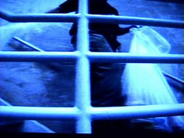 Rathin Kanji SOMEONE IS WATCHING YOU 2009 Single channel video with sound and mixed media installation 2:52 minutes