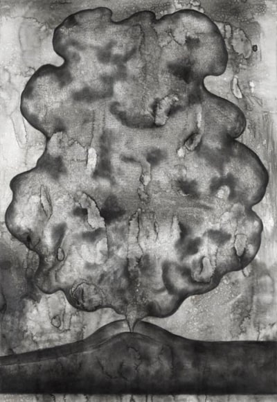 Debnath Basu WIND 2007 Mixed media on paper 43 x 30 in.