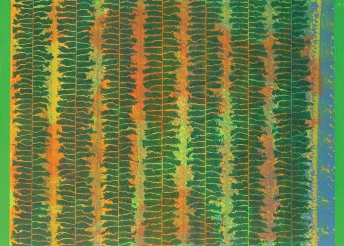 Akhilesh TECHNICALLY UNTITLED 2007 Acrylic on canvas 33 x 45 in. SOLD