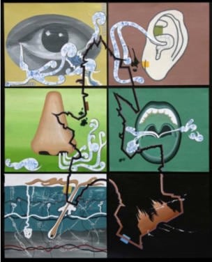 Reena Saini Kallat SALT LINES III 2007 Acrylic and carbon on board 66 x 54 in.