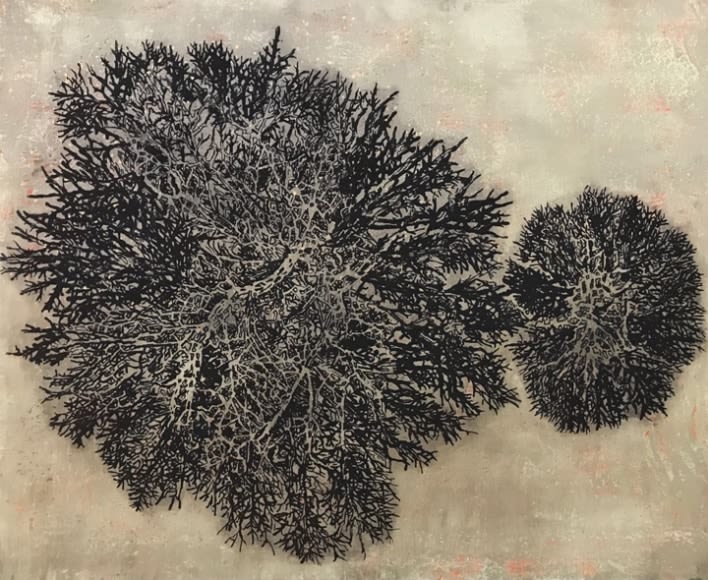 G. R. Iranna Black Branches 2018 Acrylic and coal powder on tarpaulin 54 x 66 in.