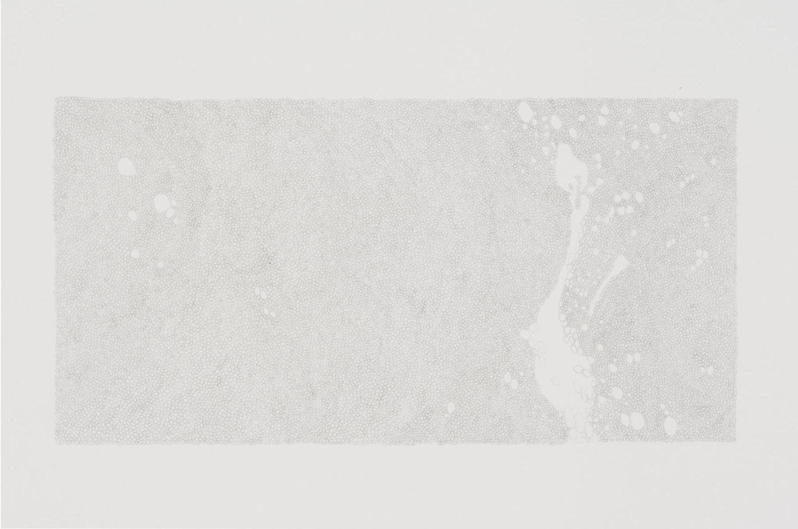Marcy Chevali, Untitled (Water Series 6)