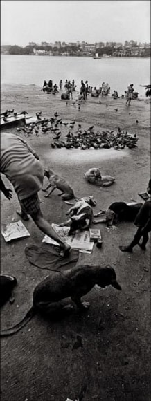 Raghu Rai FEEDING PIGEONS, HOOGLY, KOLKATA 2005 Digital scan of photographic negative on archival paper 54 x 20 in.