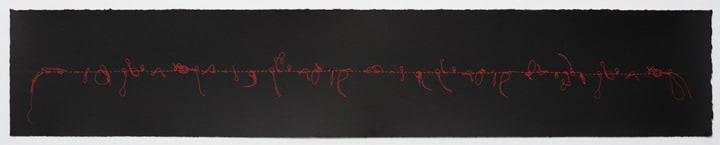 Roohi S. Ahmed SEEMINGLY HORIZONTAL (Ed. of 12) 2013 Silkscreen on BFK 300gsm Rives paper 7.5 x 41 in.