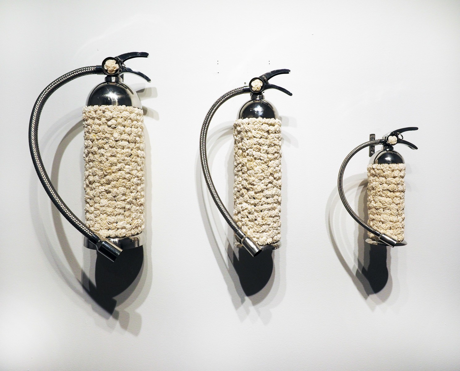 P.D. Pulak Untitled (For Small Medium Large fires) 2019 Shola flowers, resin 18 x 32.5 in.