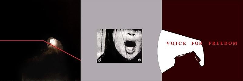 Rathin Kanji VOICE FOR FREEDOM 2009 Acrylic on canvas 24 x 72 in. (Triptych)