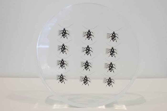 Tazeen Qayyum HARMFUL IF SWALLOWED 2009 Screen print on clear acetate embedded in Lucite 9 dia x 1.5 in. NFS