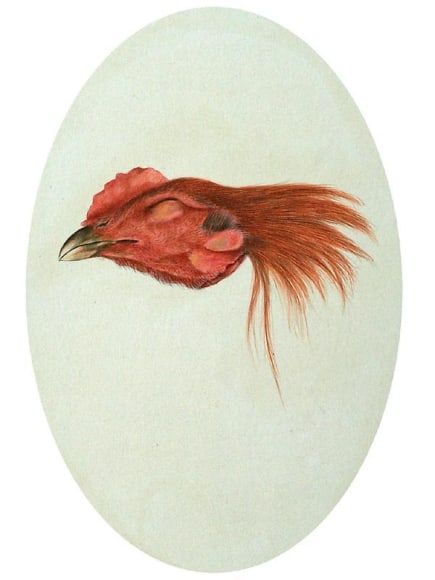 Muhammad Zeeshan SPECIAL 'SIRI' SERIES 3 2011 Gouache on wasli 9 x 6 in
