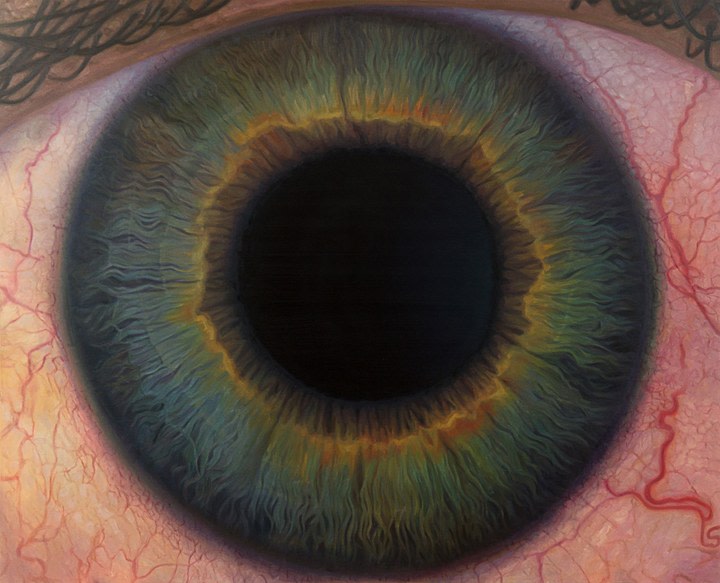 Abir Karmakar SUN II 2015 Oil on canvas 72 x 90 in