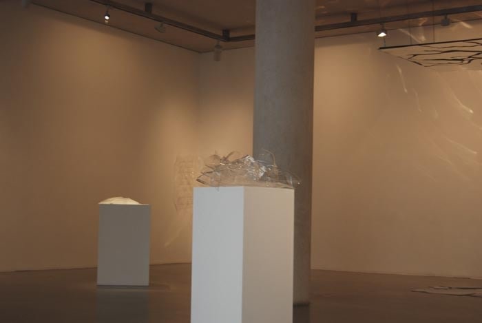 Installation Shot 2