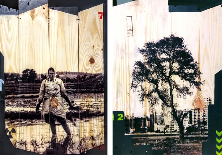 Arunkumar H.G. Vulnerable Guardians Series (Pair 6) 2018 Digital print, floor paint and clear coat on reclaimed wood 20 x 14 in. (Each)