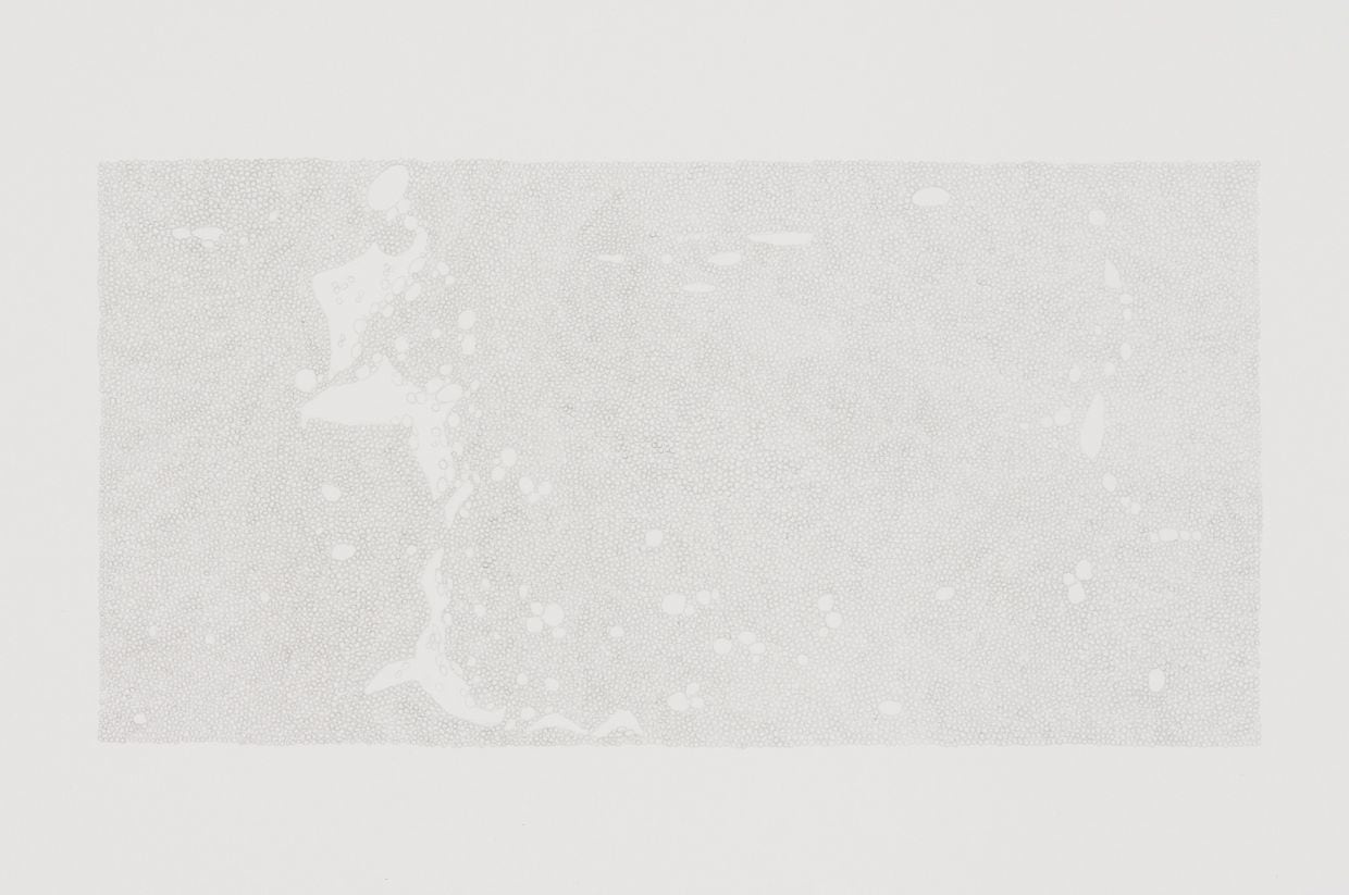 Marcy Chevali , Untitled (Water Series 1)