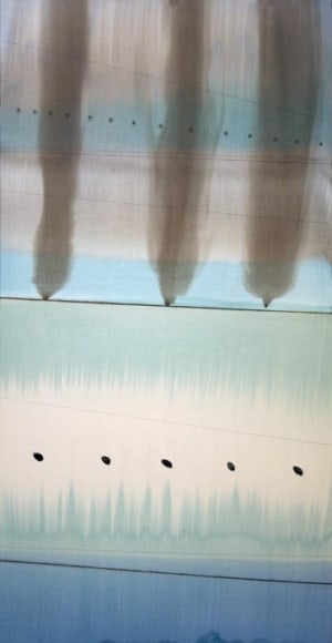 Avadesh Yadav UNTITLED 1 2007 Acrylic on canvas 70 x 36 in.