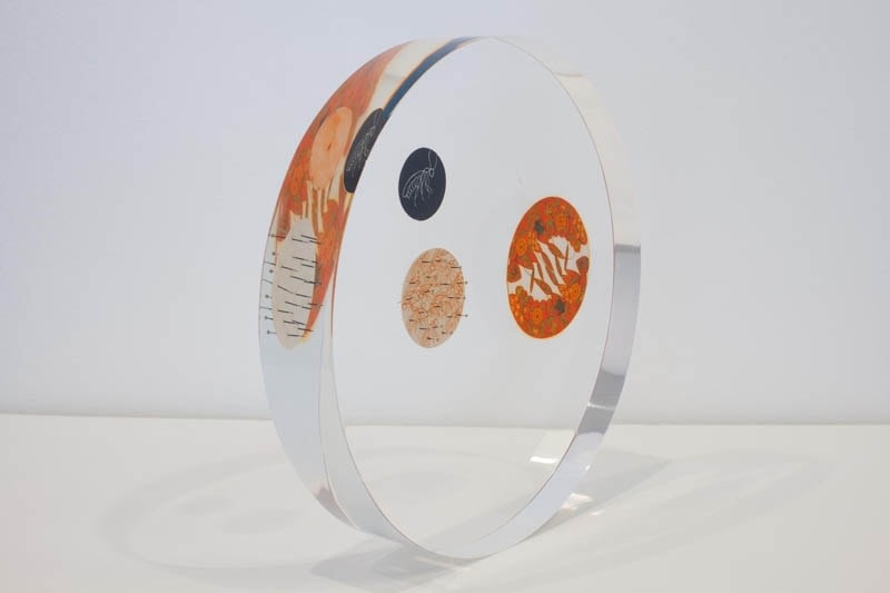 Tazeen Qayyum USE ONLY AS DIRECTED 2009 Opaque watercolor and entomology pins on wasli embedded in Lucite 9 dia x 1.5 in. NFS