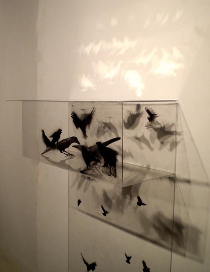 Amna Ilyas UNTITLED 5 2011 Paint on Acrylic 88 x 24 in.