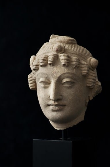 Bodhisattva Head Ancient Region of Gandhara Stucco 3rd/4th Century 6 in.
