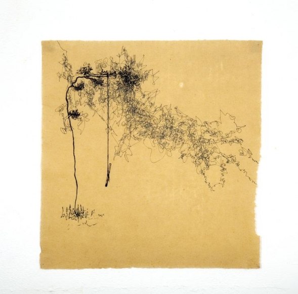 Saad Qureshi Untitled 4 Ink on Chinese paper 16.5 x 17 in NFS