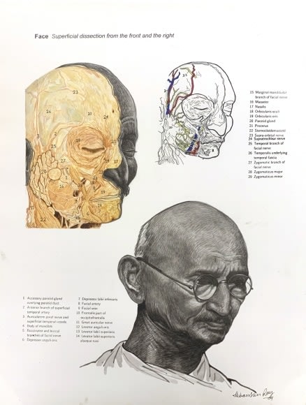 Debanjan Roy, Untitled 1, 2009, Acrylic on paper, 14 x 11 in