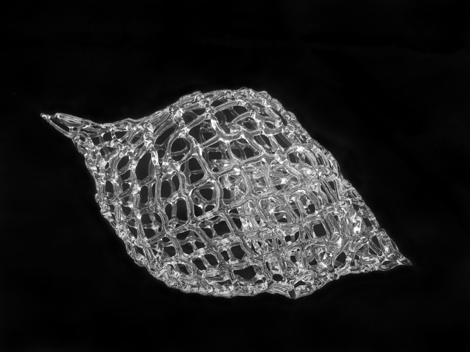 Marcy Chevali, Untitled