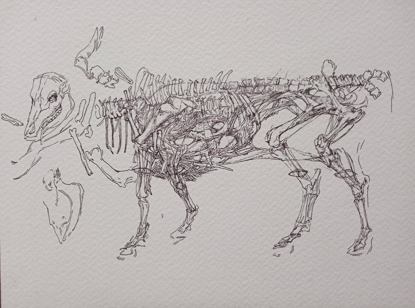 Swagata Bhattacharyya Work No. 5M (Untitled), 2022 Pen on paper 5.83h x 8.27w in