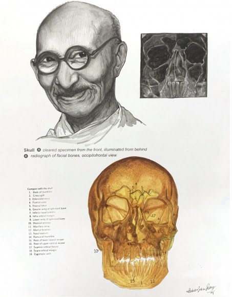 Debanjan Roy, Untitled 2, 2009, Acrylic on paper, 14 x 11 in