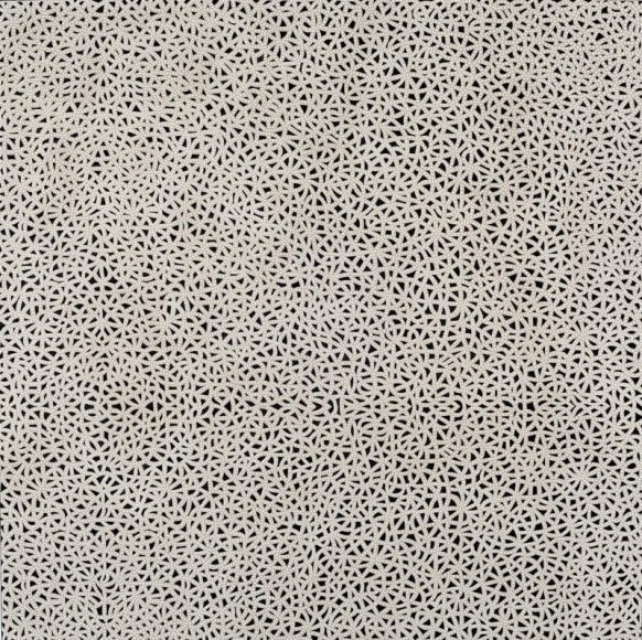 Anil Revri FRACTAL 2 2006 Mixed media on linen 48 x 48 in.
