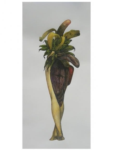 Avishek Sen LEGS & FRUIT 2013 Water color on paper 12 x 16 in.