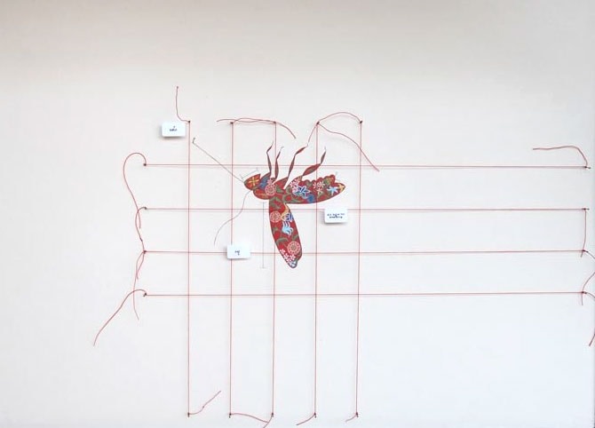 Tazeen Qayyum TEST ON A SMALL AREA BEFORE USE III 2007 Opaque watercolor, entomology pins, labels and cotton thread on wasli (prepared paper) in wooden display case 20 x 16 x 2 in.