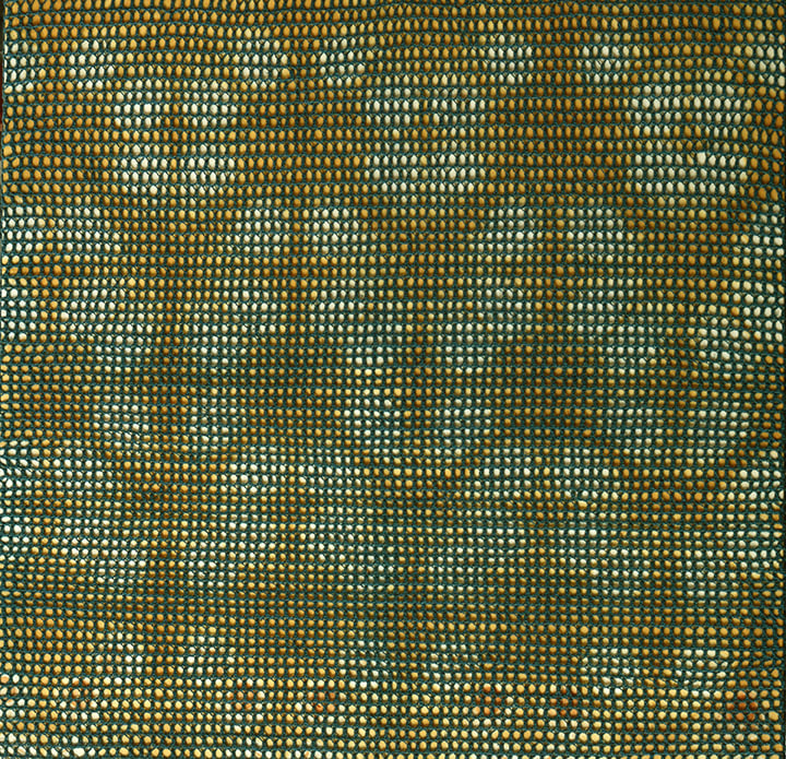 Shobha Broota Untitled (Green Pattern), 2017 Wool on canvas 40h x 40w in