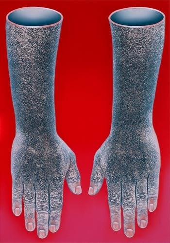 Prasanta Sahu THE LARGE HAND GLOVE 2007 Acrylic on canvas 84 x 60 in.