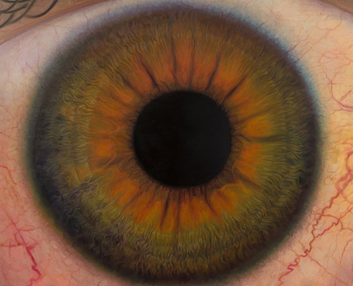 Abir Karmakar SUN III 2015 Oil on canvas 72 x 90 in
