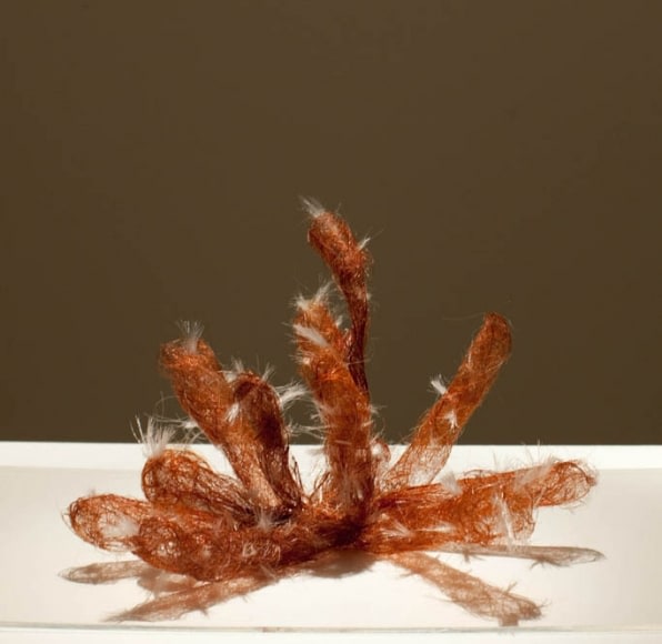 Masooma Syed HENNA CACTUS 2009 Human hair and synthetic hair 6 x 8 x 7 in.
