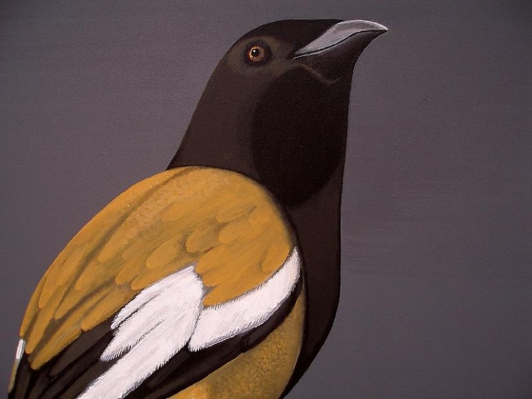 Rajan Krishnan PASTORAL FINCH 2013 Acrylic on canvas 48 x 36 in.