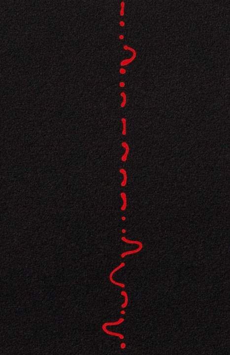 Roohi Ahmed SEEMINGLY VERTICAL (Ed. of 12) 2013 Silkscreen on BFK Rives 300gsm paper 41 x 7.5 in.