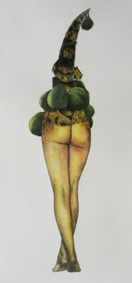 Avishek Sen LEGS AND FRUITS 2013 Watercolor on paper 12 x 6 in.