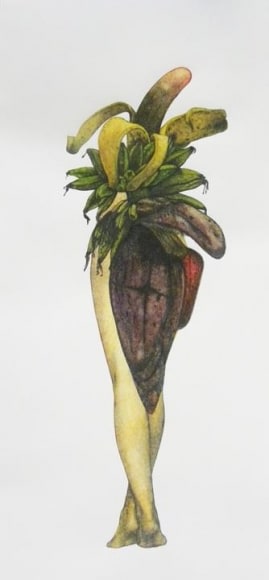 Avishek Sen LEGS AND PLANTS 2013 Watercolor on paper 12 x 6 in.