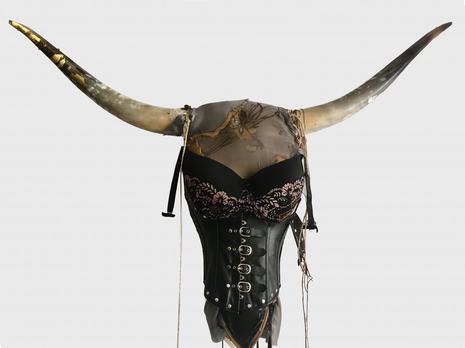 Bull horns wearing brassiere.